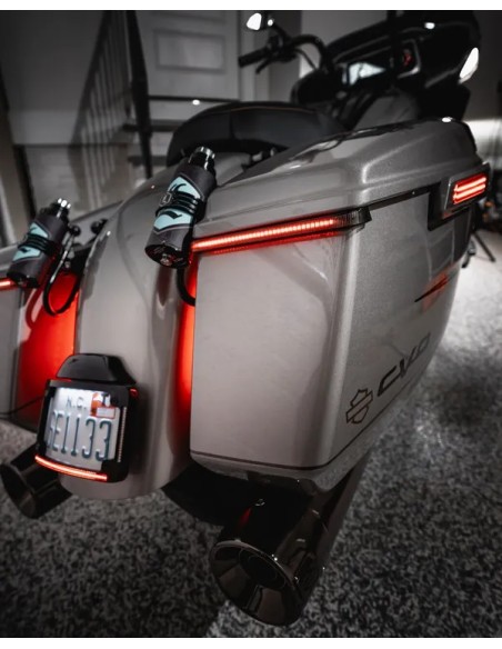 CUSTOM DYNAMICS Kennzeichen - Detailansicht