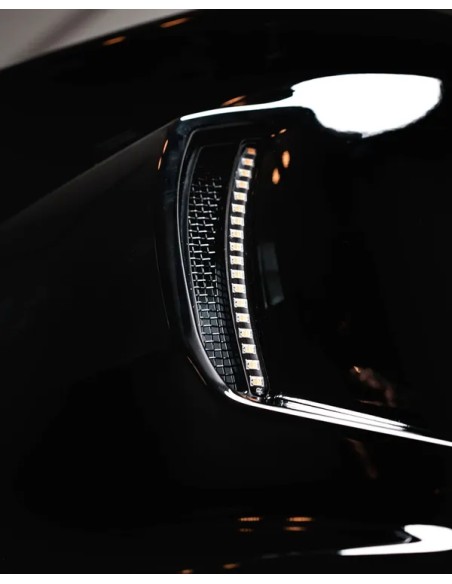CUSTOM DYNAMICS Blinker Bild 7