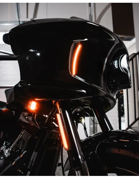 CUSTOM DYNAMICS Blinker Bild 10