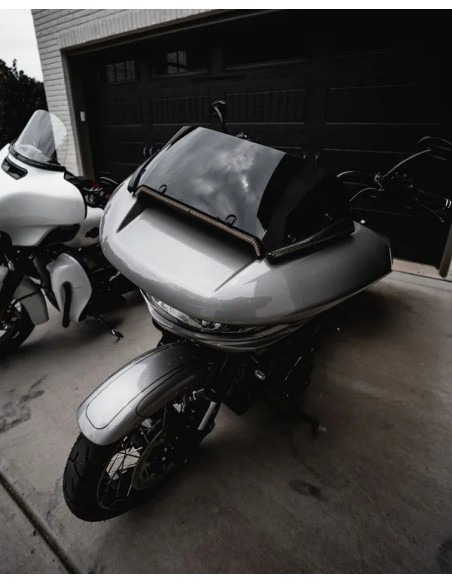CUSTOM DYNAMICS Blinker Bild 4