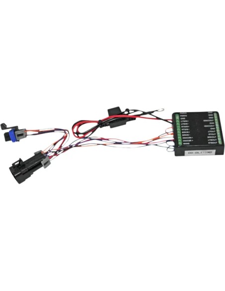 CUSTOM DYNAMICS Kabel & Schalter - Detailansicht