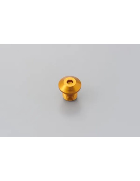 DAYTONA Montagematerial & Zubehör - MIRROR PLUG BOLT GD LEFT