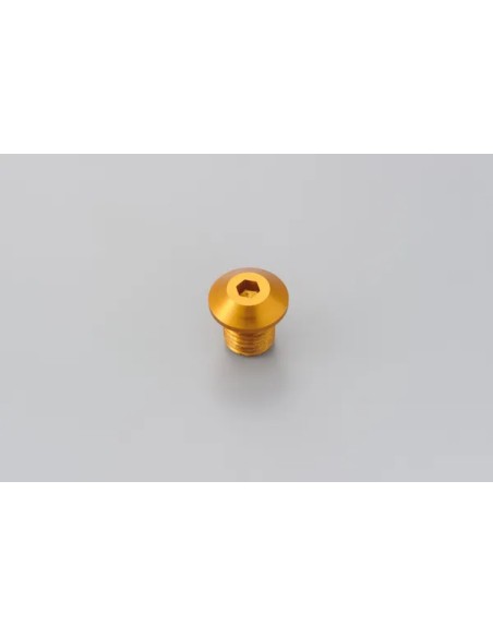 DAYTONA Montagematerial & Zubehör - MIRROR PLUG BOLT GD RIGHT