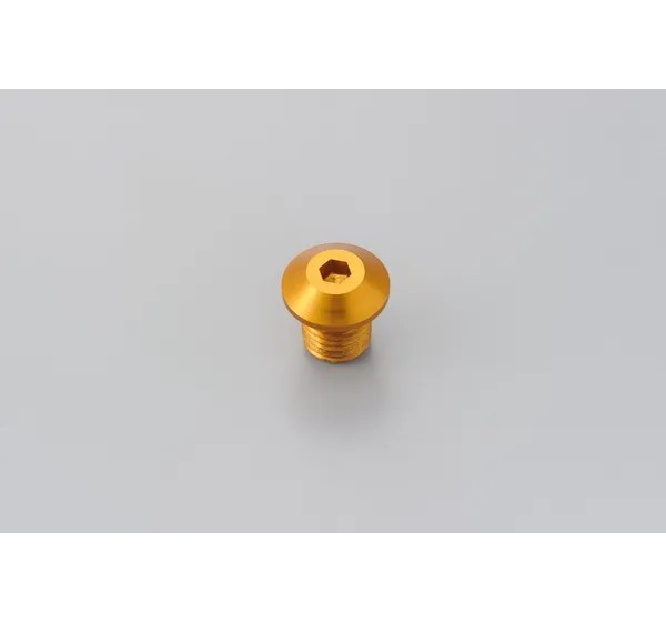 DAYTONA Montagematerial & Zubehör - MIRROR PLUG BOLT GD RIGHT
