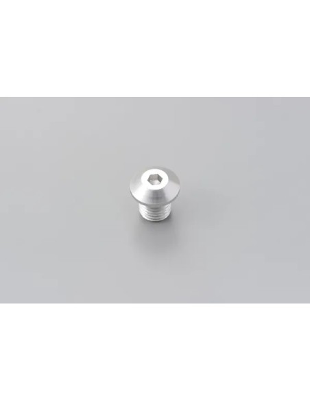 DAYTONA Montagematerial & Zubehör - MIRROR PLUG BOLT SV LEFT
