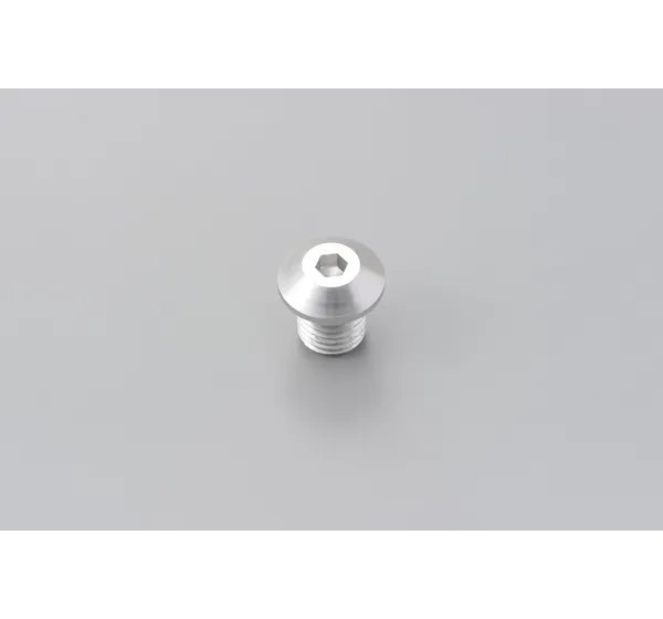 DAYTONA Montagematerial & Zubehör - MIRROR PLUG BOLT SV LEFT