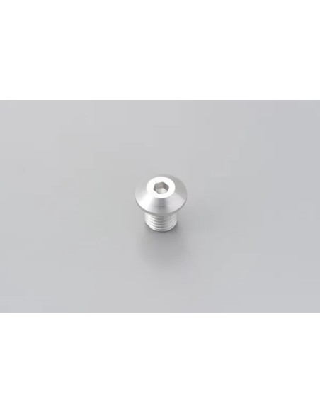 DAYTONA Montagematerial & Zubehör - MIRROR PLUG BOLT SV RIGHT