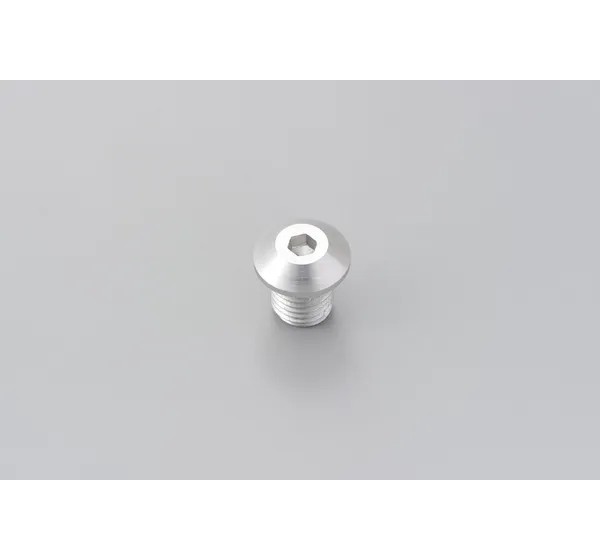 DAYTONA Montagematerial & Zubehör - MIRROR PLUG BOLT SV RIGHT