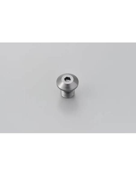 DAYTONA Montagematerial & Zubehör - MIRROR PLUG BOLT GREY RIGHT