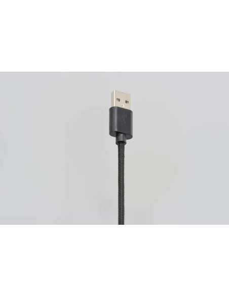 DAYTONA Kabel & Schalter - Detailansicht