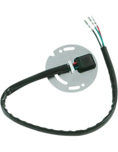 Zündsensor-Einheit