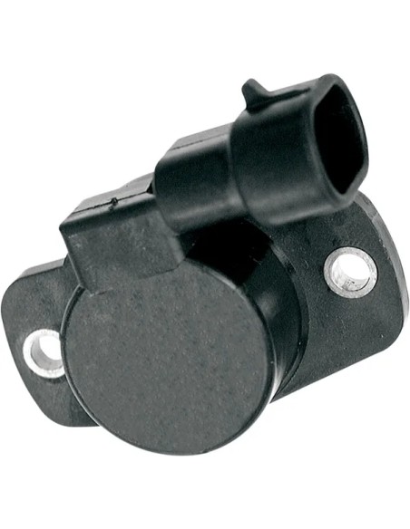 STANDARD MOTOR PRODUCTS Gemischsteuerung für Harley Davidson FLSTCI 1450 EFI 2001-2005