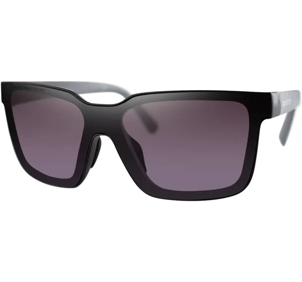 BOBSTER Sonnenbrillen - SUNGLASSES BOOST BLACK/GRAY