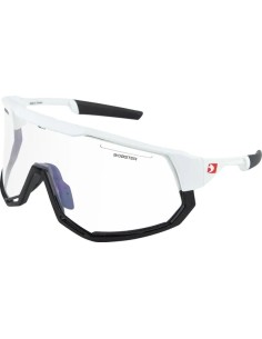 Freewheel Sonnenbrille