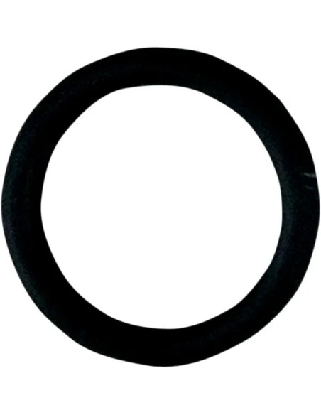 FUEL-TOOL Montagematerial & Zubehör - O-RING LOWER CHECK VALVE