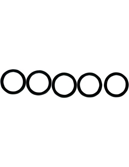 FUEL-TOOL Montagematerial & Zubehör - O-RING LWR CHECKVALVE 5PK