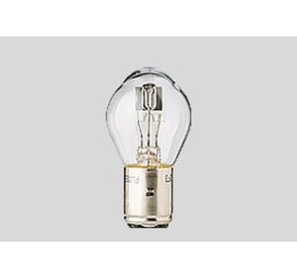 FLOSSER Glühbirnen - BULB 12V 45/40W BA20D 10PK