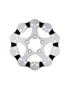 Fester Bremsscheibe Skull