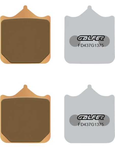 GALFER Bremsbeläge & Bremsbacken für BMW S 1000 RR ABS 2010-2018