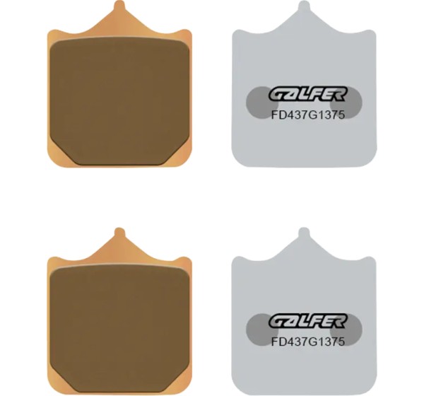 GALFER Bremsbeläge & Bremsbacken für BMW S 1000 RR ABS 2010-2018
