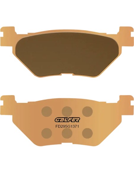 GALFER Bremsbeläge & Bremsbacken für YAMAHA FJR 1300 ABS 2003-2024