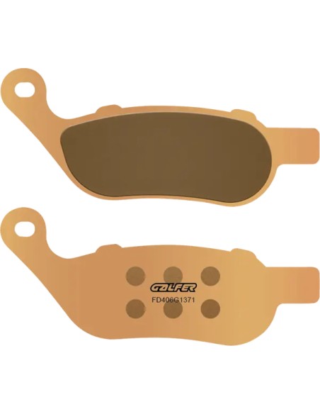 GALFER Bremsbeläge & Bremsbacken für Harley Davidson FLSTFB 1690 ABS 2012-2017