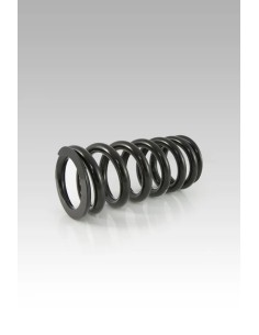 Hintere Federbein-Feder Tieferlegungskit HVA