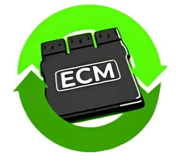 TECHNORESEARCH Gemischsteuerung - VCM REFURBISHING LICENSE