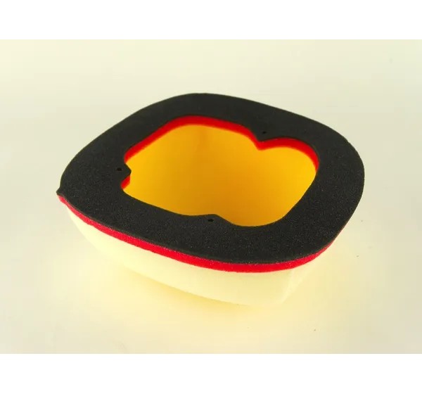 DT-1 RACING EUROPE Luftfilter & Reiniger für BETA RR 300 2013-2019