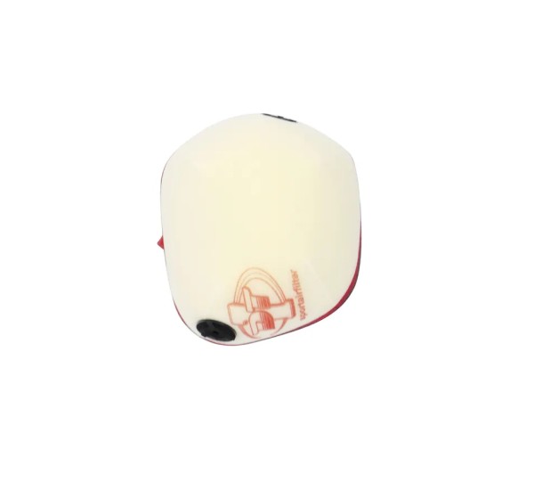 DT-1 RACING EUROPE Luftfilter & Reiniger für GAS GAS EC 300 ab 2024