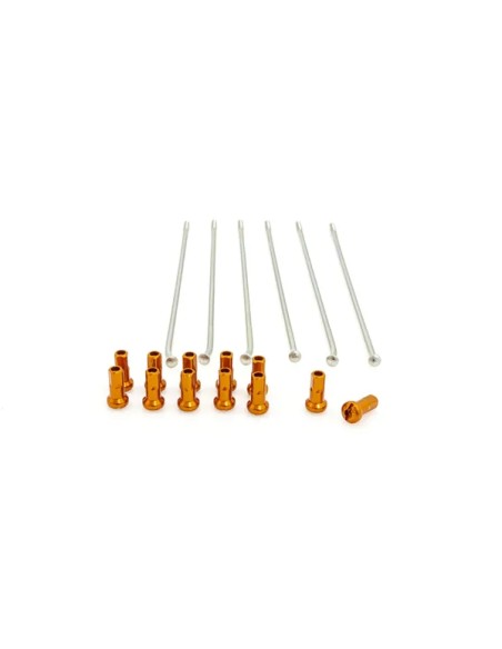 KITE Montagematerial & Zubehör - SPOKES 19 RR SI /OR NIP 12PC