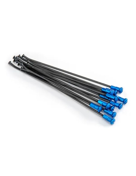KITE Montagematerial & Zubehör - SPOKES 19 RR BK / BL NI 12PC