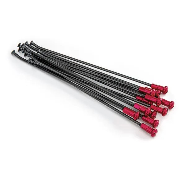 KITE Montagematerial & Zubehör - SPOKES 19 RR BK / RE NI 12PC