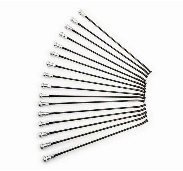 KITE Montagematerial & Zubehör - SPOKES 19 FR BK/SI 16PC