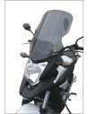 Windschild/Verkleidungsscheibe