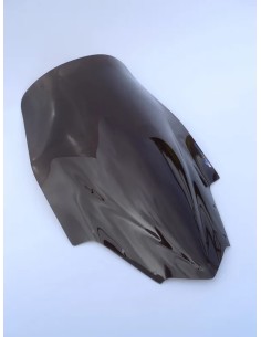 Windschild/Verkleidungsscheibe