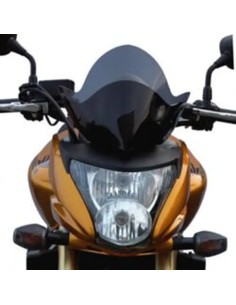 Windschild/Verkleidungsscheibe