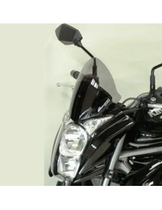 Windschild/Verkleidungsscheibe