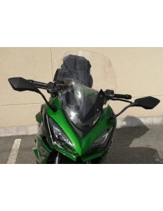 Windschild