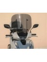 Windschild