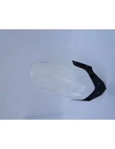 Windschild/Verkleidungsscheibe
