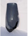Windschild/Verkleidungsscheibe