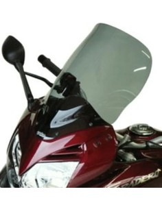 Windschild/Verkleidungsscheibe
