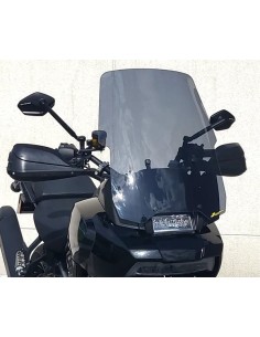 Windschild/Verkleidungsscheibe
