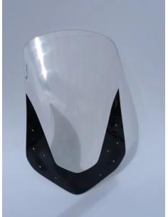 Windschild/Verkleidungsscheibe