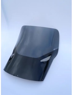 Windschild/Verkleidungsscheibe