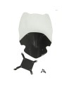 Windschild