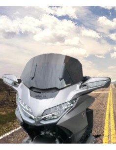 Windschild/Verkleidungsscheibe