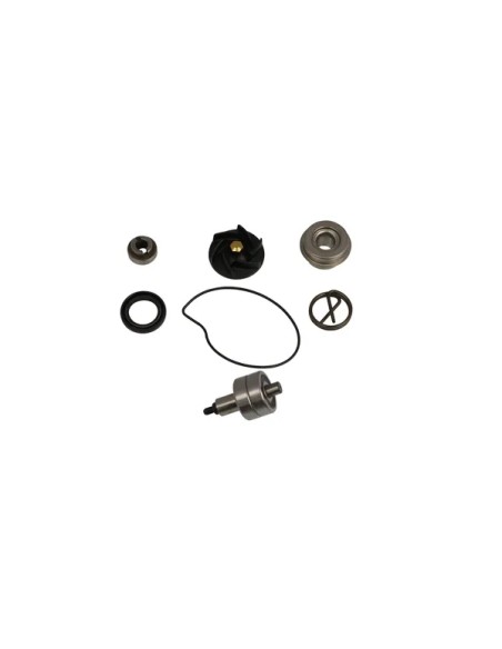 PARTS EUROPE Kühlsysteme für PIAGGIO BEVERLY 250 I.E. 2007-2009