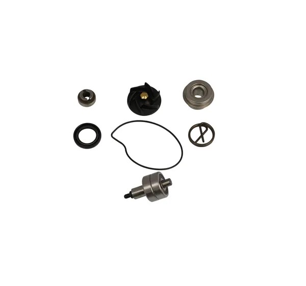 PARTS EUROPE Kühlsysteme für PIAGGIO BEVERLY 250 I.E. 2007-2009